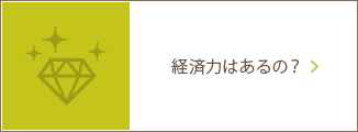 経済力はあるの？